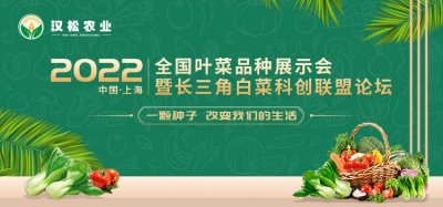 會(huì)議策劃 會(huì)務(wù)策劃  會(huì)議布置 會(huì)場布置 會(huì)議服務(wù) 會(huì)務(wù)服務(wù)